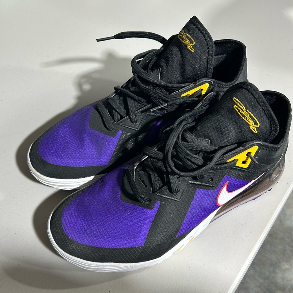 Nike Lebron 18s